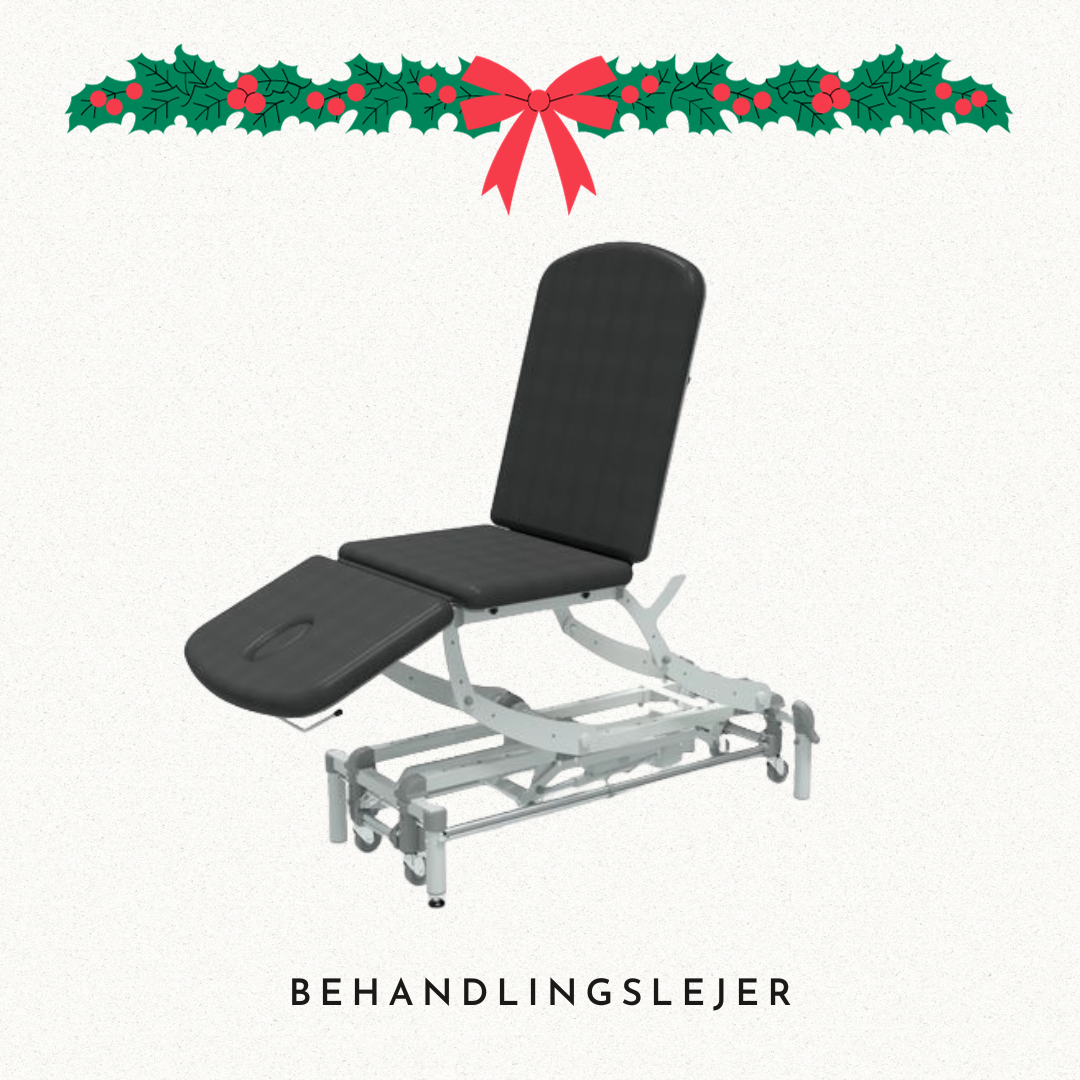 BEHANDLINGSLEJER_1_