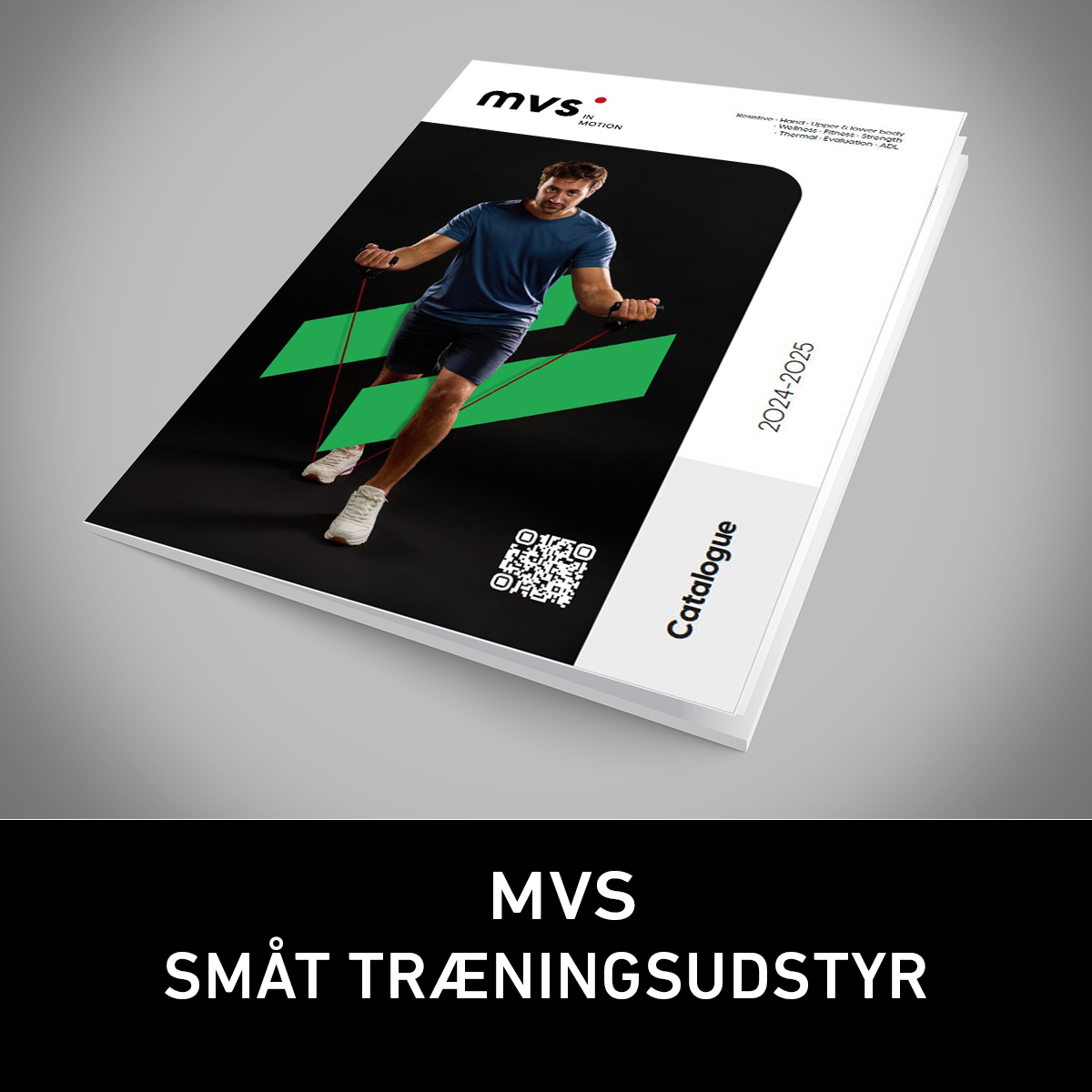MVS_2025