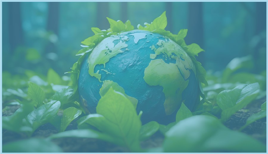 SEERS-Goes-GREEN
