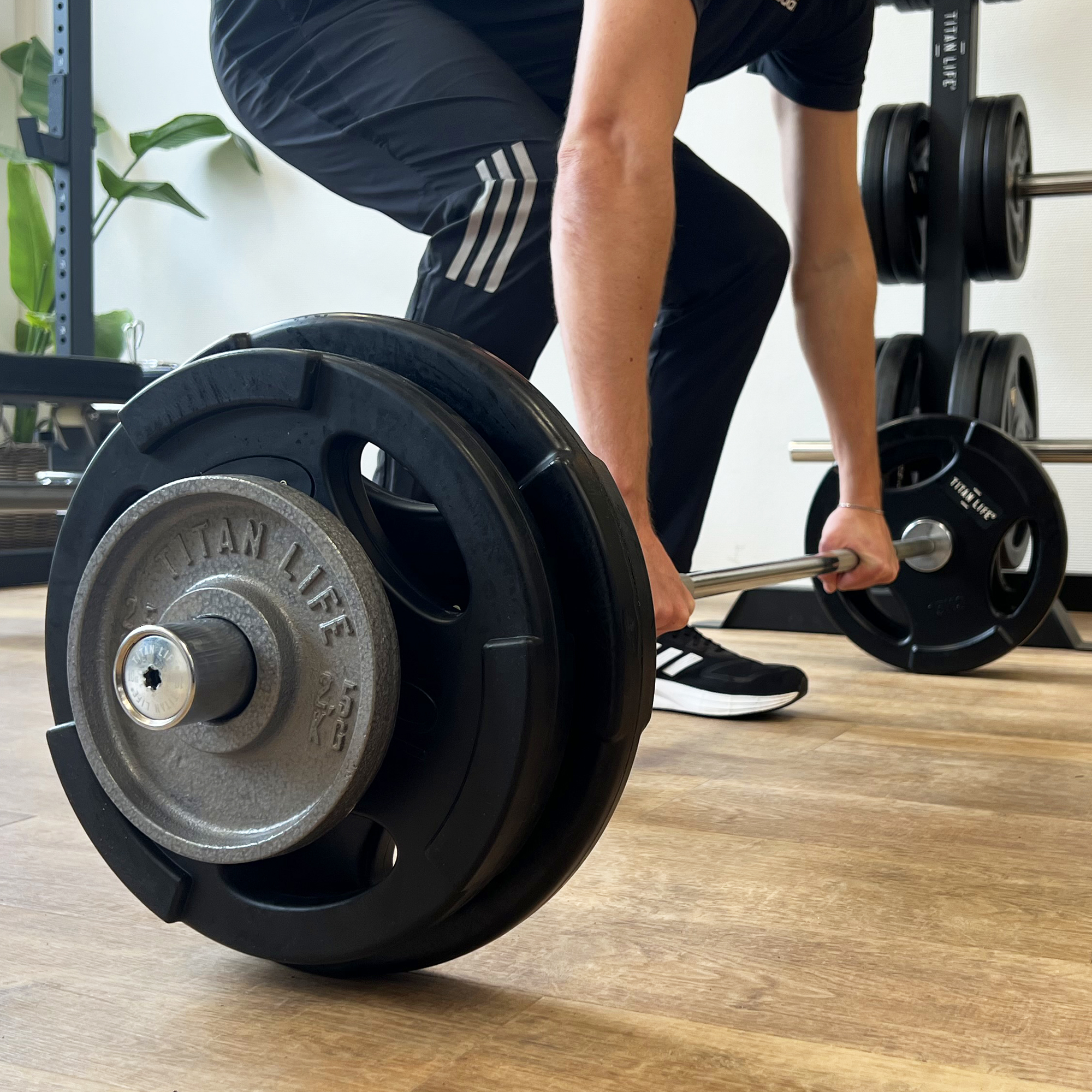TITAN LIFE PRO Plate 2,5 kg, Grey 