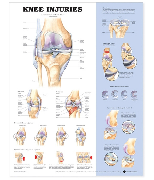 NBN Planche Knee Injuries, Ulamineret