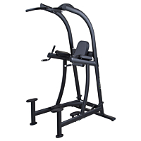  SportsArt A994 Leg Raise/Chin Dip