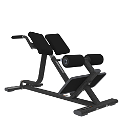 Demo - Torque Back Extension Bench