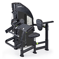  SportsArt DF305 Biceps/Triceps