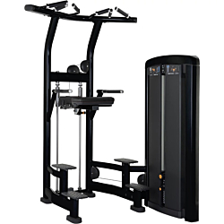 Life Fitness Insignia Series Assist Dip & Chin