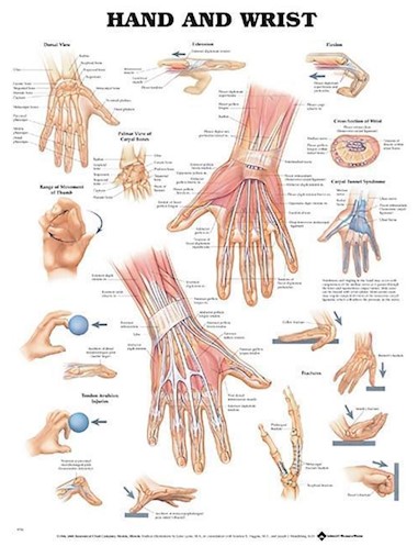NBN Planche Hand and Wrist, Flexible Plast