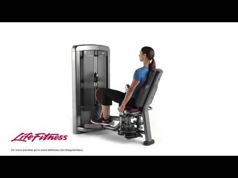 Life Fitness Insignia Series Hip Adduction
