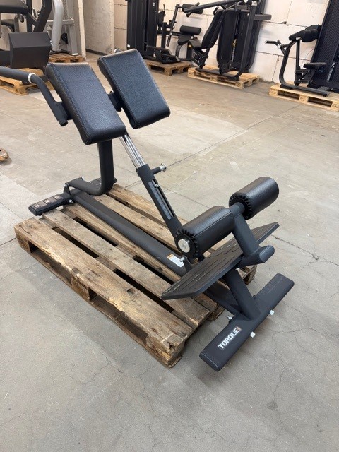 Demo - Torque Back Extension Bench