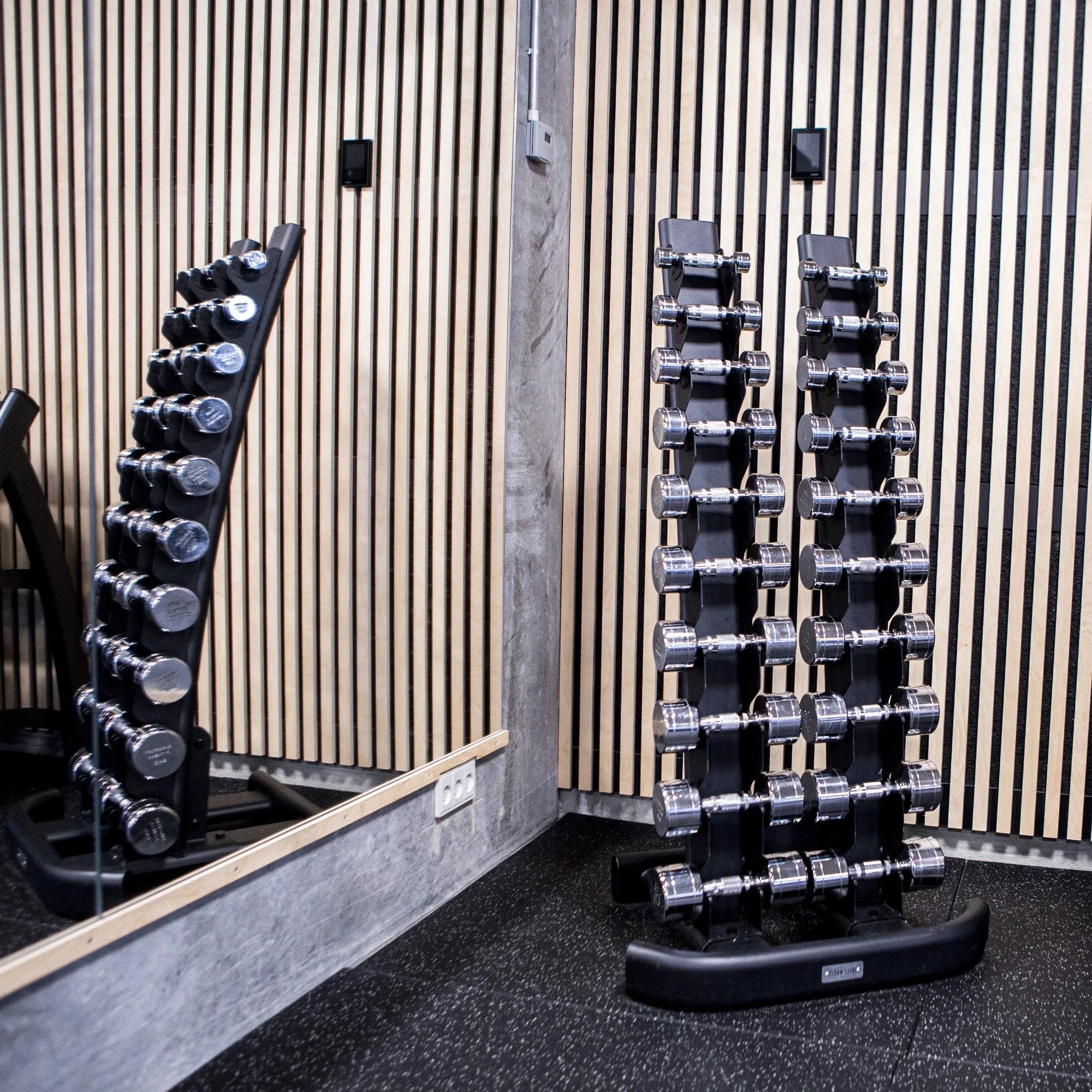 Demo - TITAN LIFE PRO Chrome Dumbbell Rack 